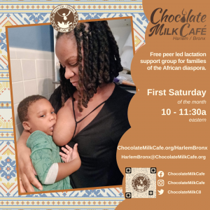 Harlem Bronx chapter virtual meeting details with image of dreadlocked Black woman wearing a black top looking down at a breastfeeding male toddler.